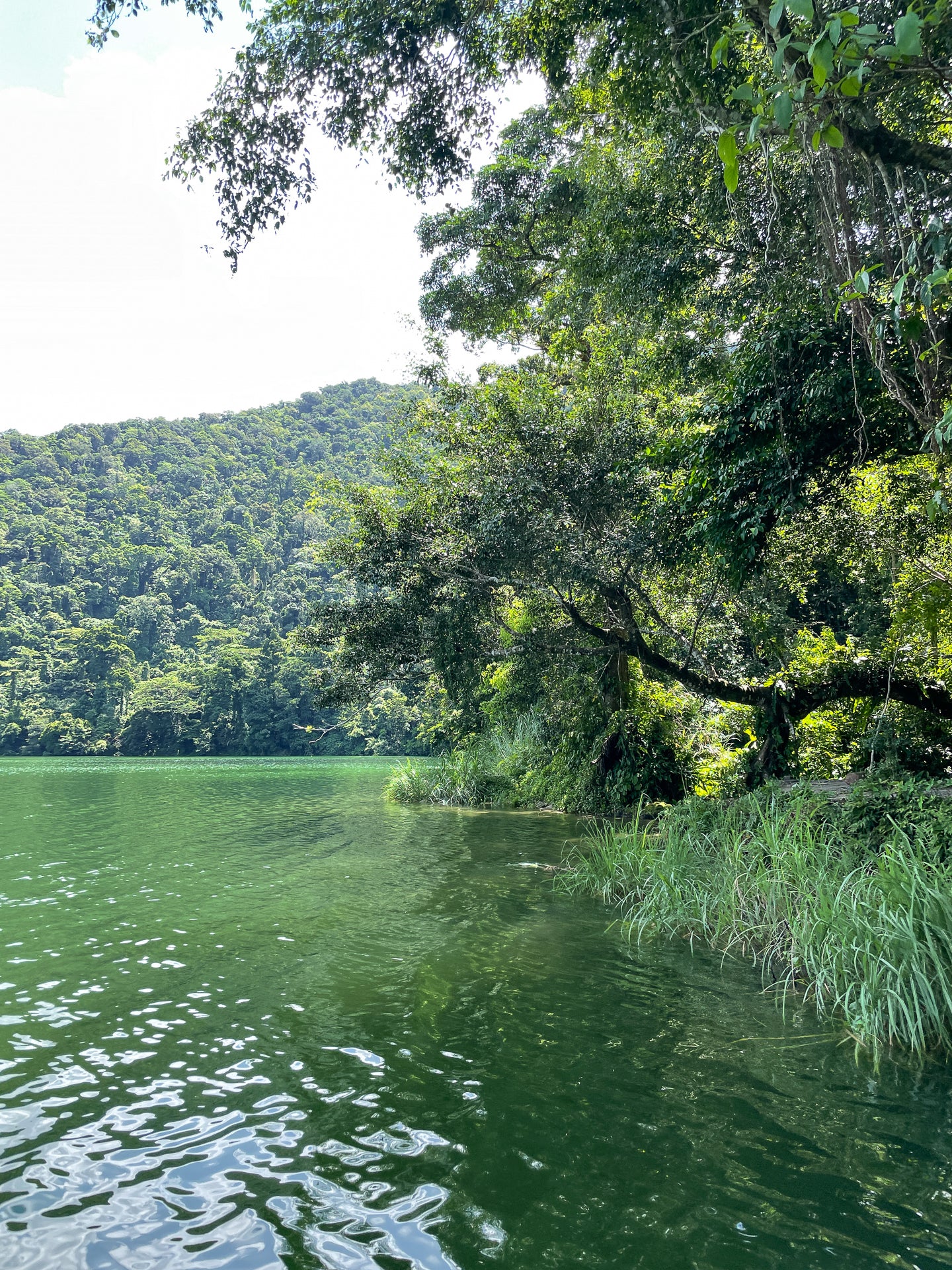 Explore Bulusan for 1-30 Guests