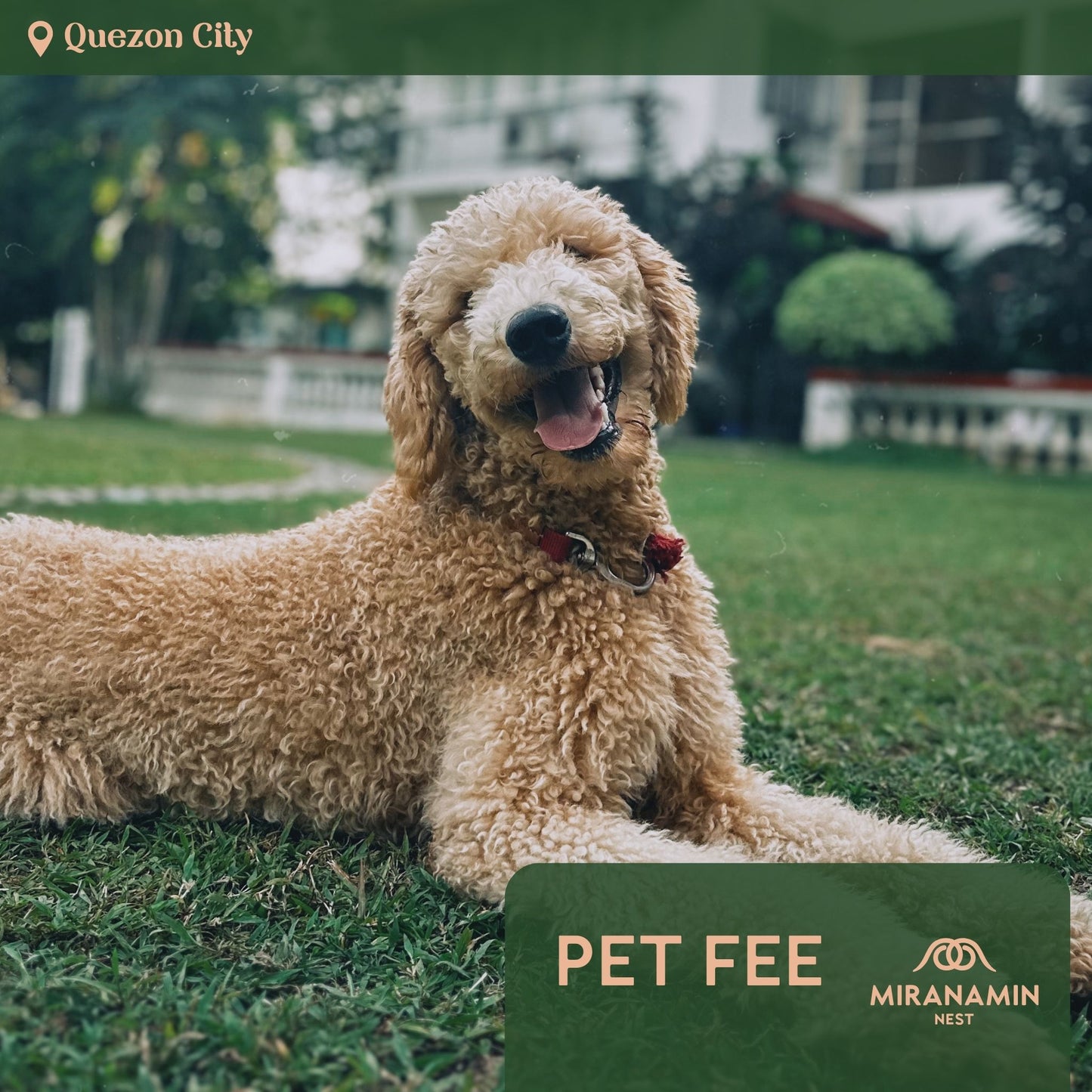 Pet Fee
