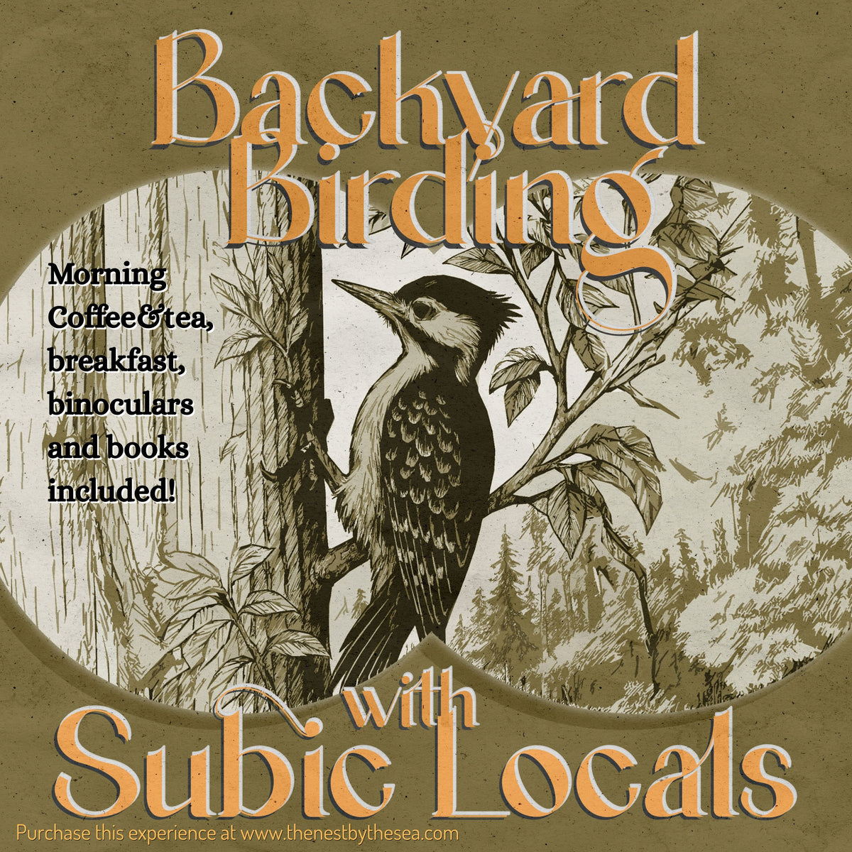 Backyard Birding with Subic Locals