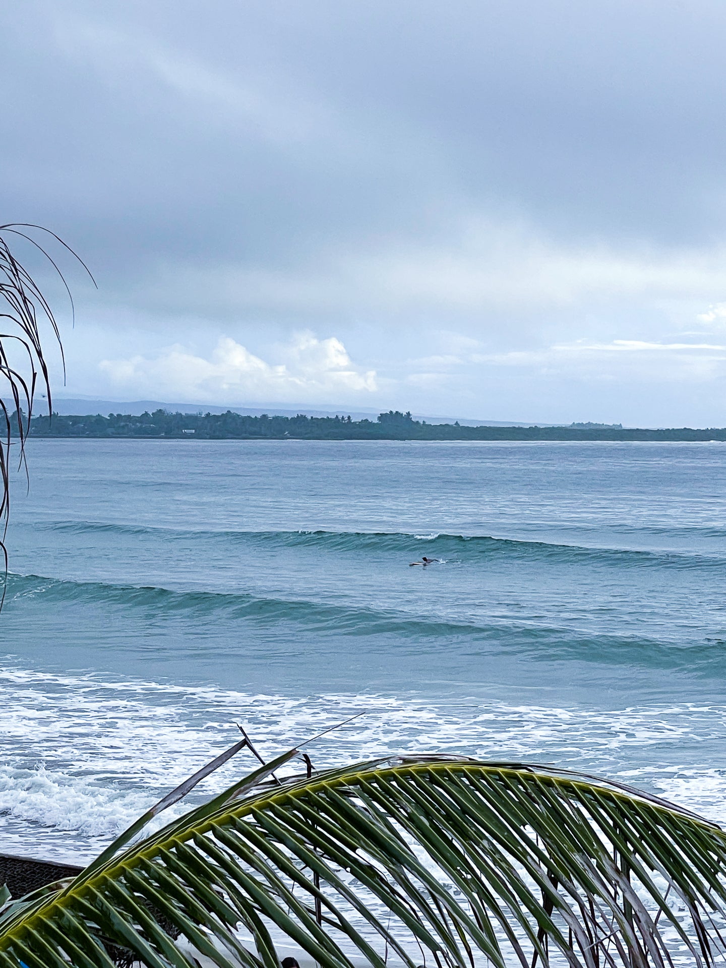 1 Hour Surf Lesson
