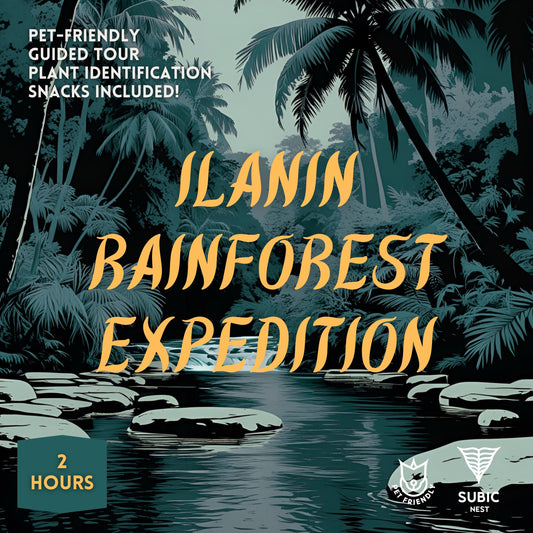 2 Hour Ilanin Rainforest Expedition