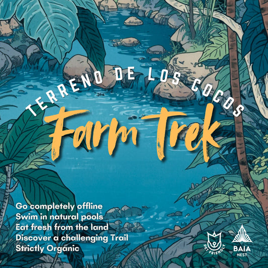 Terreno de los Cocos Offline Farm Trek