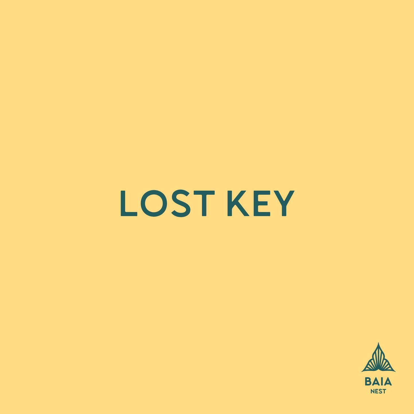 Lost Key