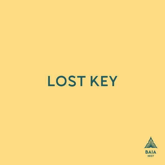 Lost Key